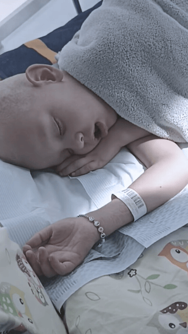 Main photo uploaded by the user