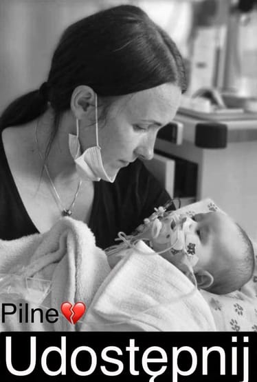 Zdjęcie główne wgrane przez użytkownika