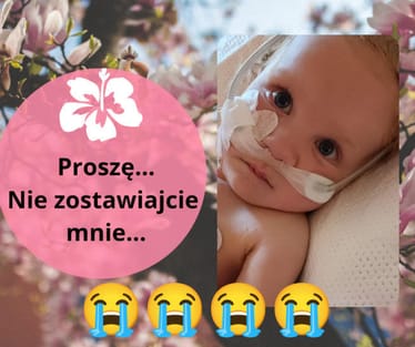 Zdjęcie główne wgrane przez użytkownika