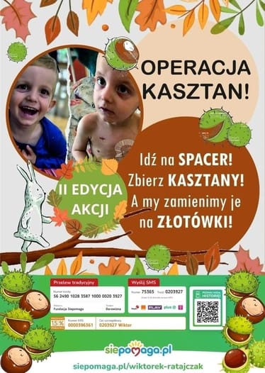 Main photo uploaded by the user