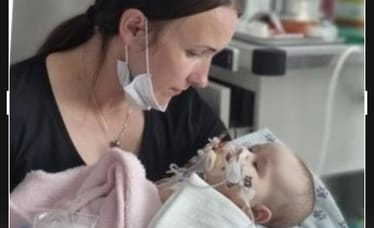 Zdjęcie główne wgrane przez użytkownika