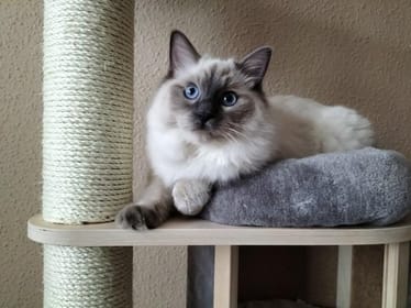 Zdjęcie główne wgrane przez użytkownika