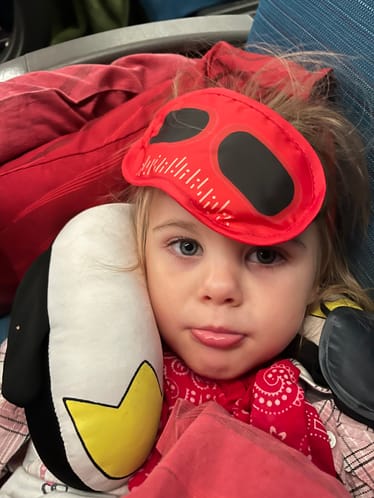 Zdjęcie główne wgrane przez użytkownika