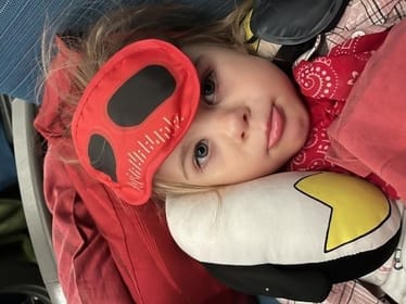 Zdjęcie główne wgrane przez użytkownika