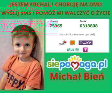 Main photo uploaded by the user