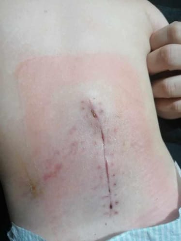 Zdjęcie główne wgrane przez użytkownika