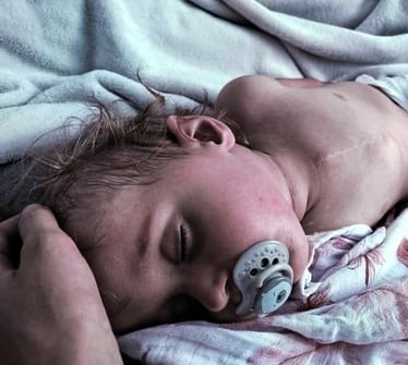 Zdjęcie główne wgrane przez użytkownika