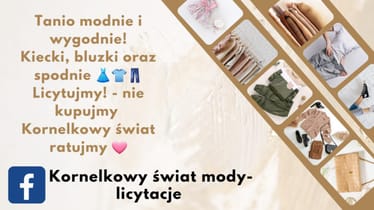 Main photo uploaded by the user