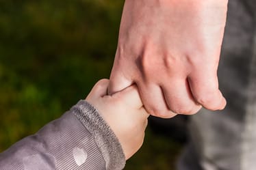 Zdjęcie główne wgrane przez użytkownika