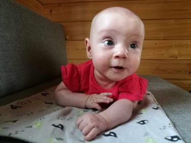 Zdjęcie główne wgrane przez użytkownika