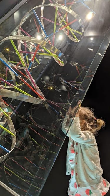 Main photo uploaded by the user