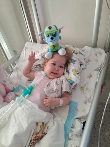 Main photo uploaded by the user