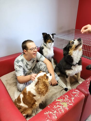 Zdjęcie główne wgrane przez użytkownika