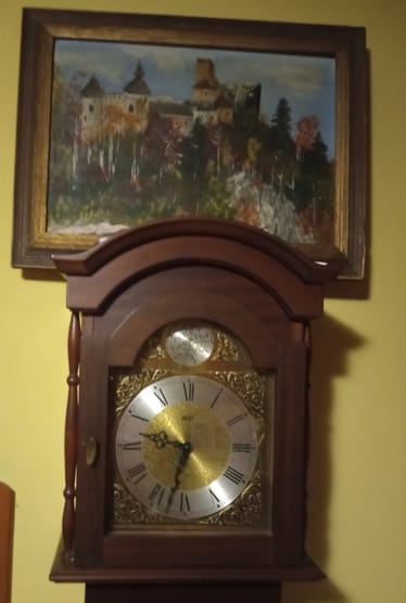 Main photo uploaded by the user