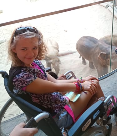 Main photo uploaded by the user