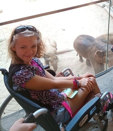 Zdjęcie główne wgrane przez użytkownika