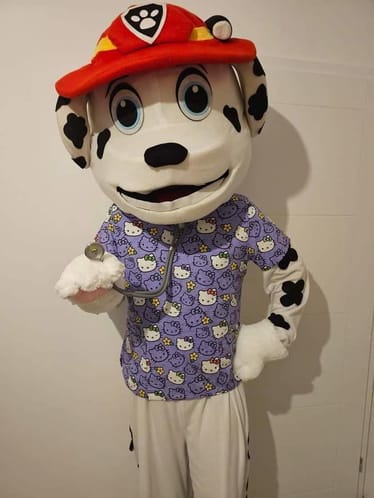 Zdjęcie główne wgrane przez użytkownika