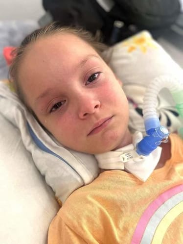 Zdjęcie główne wgrane przez użytkownika