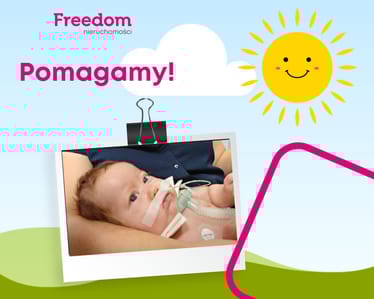 Zdjęcie główne wgrane przez użytkownika