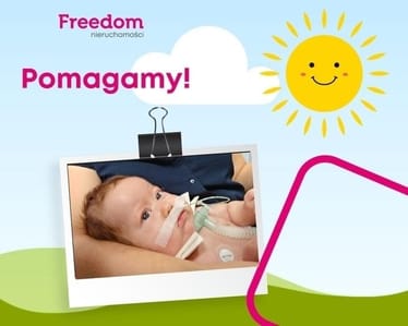 Zdjęcie główne wgrane przez użytkownika