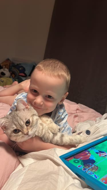 Main photo uploaded by the user