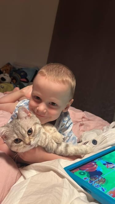 Main photo uploaded by the user