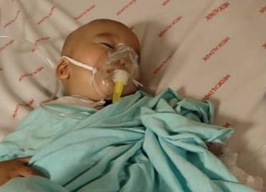 Zdjęcie główne wgrane przez użytkownika