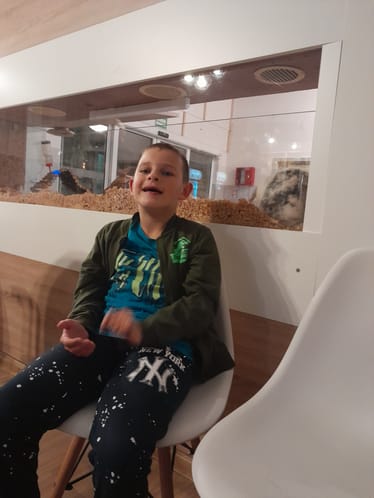 Zdjęcie główne wgrane przez użytkownika