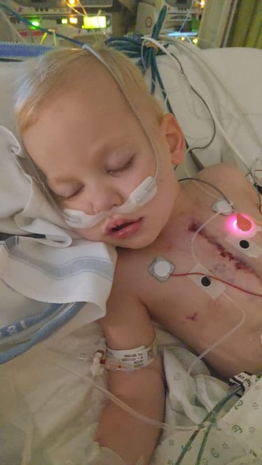 Zdjęcie główne wgrane przez użytkownika