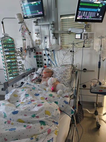 Zdjęcie główne wgrane przez użytkownika