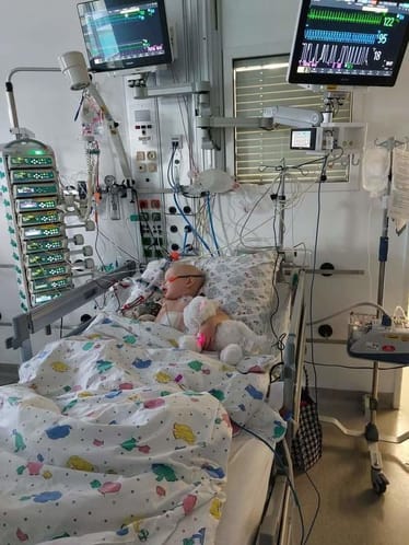 Main photo uploaded by the user