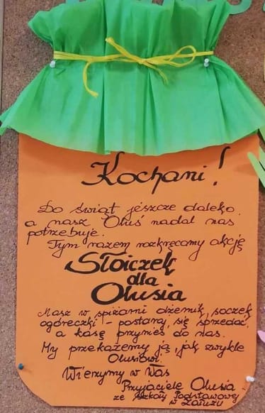 Main photo uploaded by the user