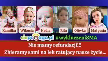 Zdjęcie główne wgrane przez użytkownika