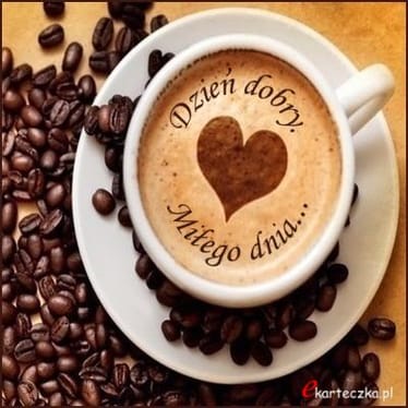 Main photo uploaded by the user