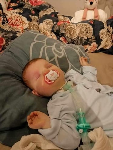 Zdjęcie główne wgrane przez użytkownika