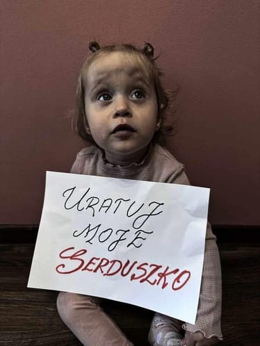Zdjęcie główne wgrane przez użytkownika