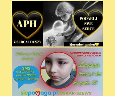 Zdjęcie główne wgrane przez użytkownika