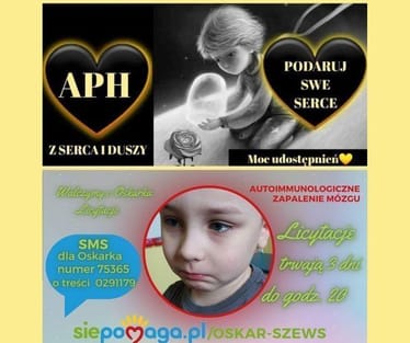 Main photo uploaded by the user
