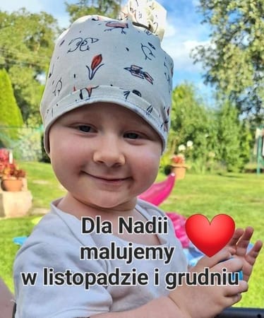 Zdjęcie główne wgrane przez użytkownika