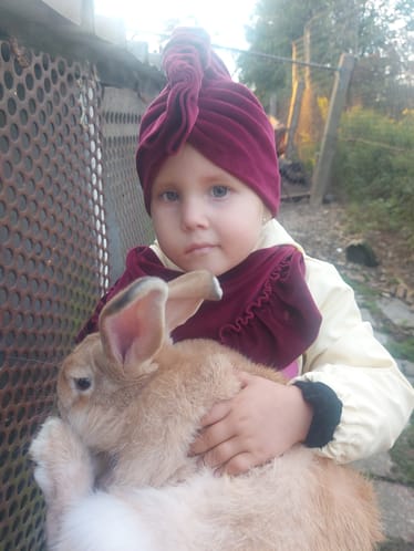 Zdjęcie główne wgrane przez użytkownika