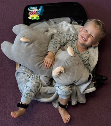 Main photo uploaded by the user