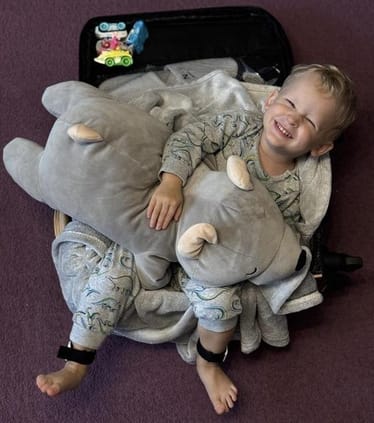 Zdjęcie główne wgrane przez użytkownika