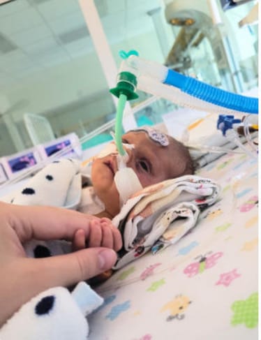 Main photo uploaded by the user