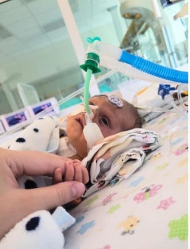 Zdjęcie główne wgrane przez użytkownika