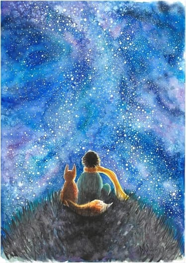 Main photo uploaded by the user