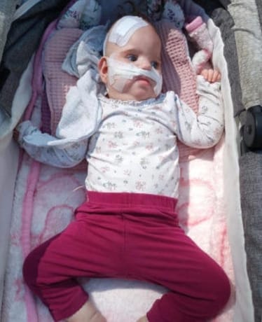 Main photo uploaded by the user