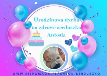 Main photo uploaded by the user