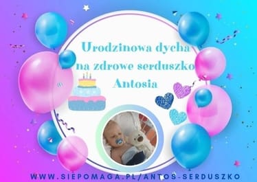 Zdjęcie główne wgrane przez użytkownika