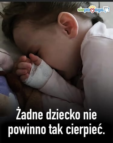 Zdjęcie główne wgrane przez użytkownika