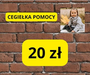 Zdjęcie główne wgrane przez użytkownika